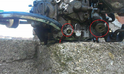 10947790_10153133445863641_1577874452_n (1).jpg