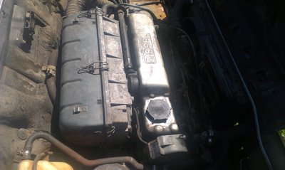 IMAG0321.jpg