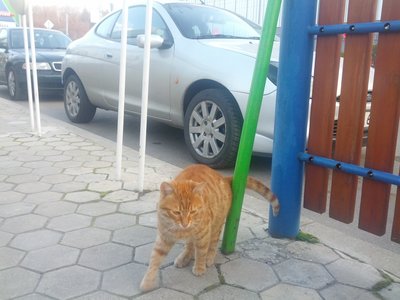 IMG_20160320_181115.jpg