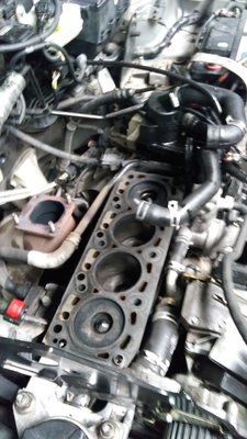 IMG_20160822_172412[1].jpg
