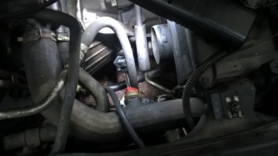 WP_20170108_17_23_11_Pro.jpg (1.56 MБ) Видяна 17006 пъти WP_20170108_17_23_11_Pro.jpg