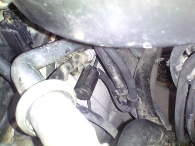 IMG_20171118_121028.jpg (1.35 MБ) Видяна 11446 пъти IMG_20171118_121028.jpg