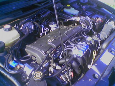 070616_093653.jpg (62.09 KБ) Видяна 5037 пъти 070616_093653.jpg