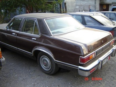 Picture 276.jpg
