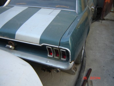 Picture 267.jpg