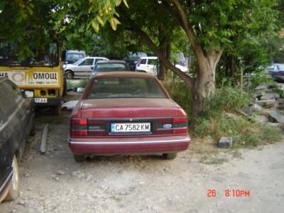 Picture 305.jpg
