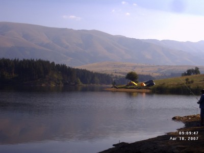 Copy of DMC_3028.JPG