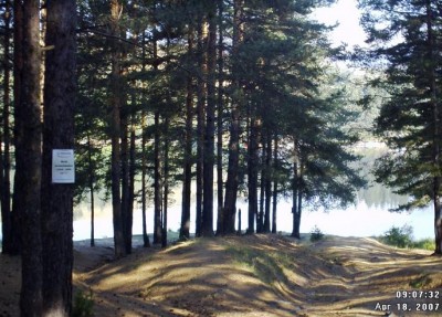 Copy of DMC_3027.JPG