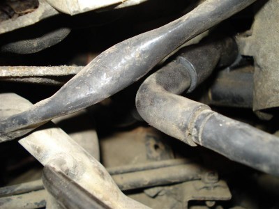 DSC00309 (Medium).JPG