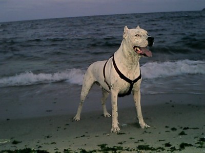 index.php.jpg (73.83 KБ) Видяна 6489 пъти index.php.jpg