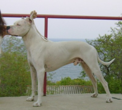 index.php.jpg (60.76 KБ) Видяна 6432 пъти index.php.jpg