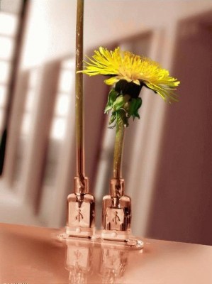 1136870274_connectors_sc_.jpg (36.16 KБ) Видяна 13247 пъти 1136870274_connectors_sc_.jpg