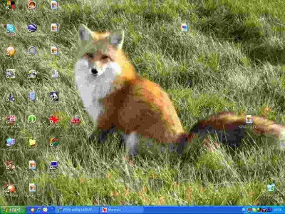 screenshot.jpg