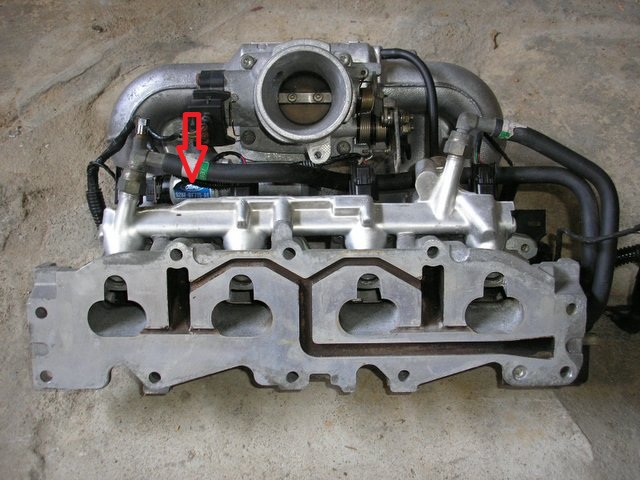 1193747255_0.jpg